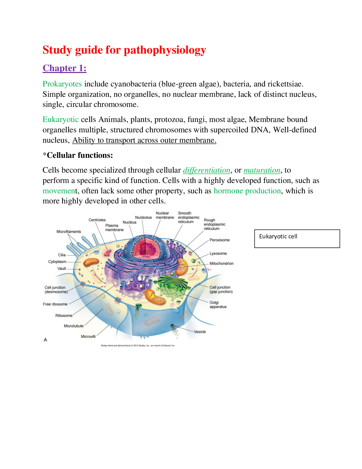 Preview image of Lipscomb University - NURS 3093 Study guide for pathophysiology test 1, Rated A+ guide. document